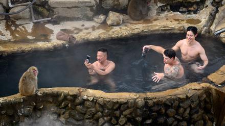 Heißes „Onsen“-Bad mit Ausblick auf Makaken im Affenpark von Yamanouchi in der Präfektur Nagano