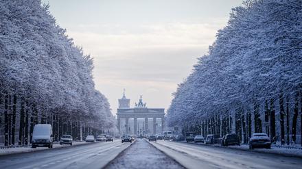 Verschneite Bäume glitzerten im Tiergarten.