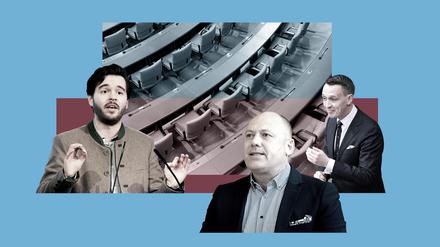Wie extrem sind die Kandidaten der AfD?