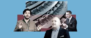 Wie extrem sind die Kandidaten der AfD?