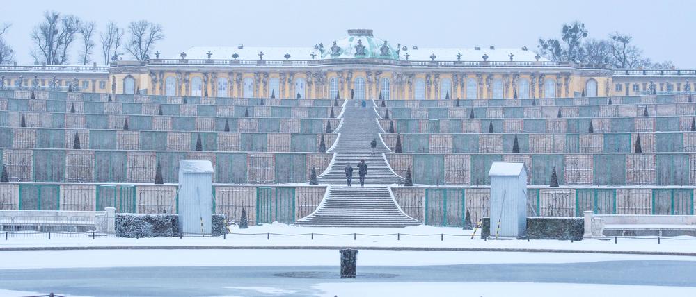 Der winterliche Park Sanssouci.