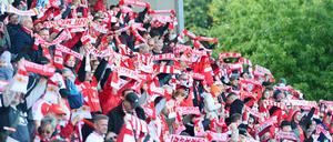 Die Fans unterstützen ihr Team.