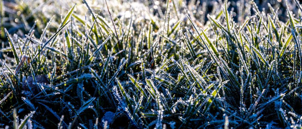 Noch ist es frostig, doch es nähert sich eine Warmfront.