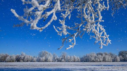 Sonniges Winterwetter herrschte in Brandenburg. 