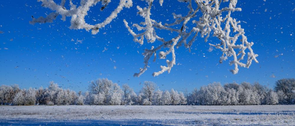 Sonniges Winterwetter herrschte in Brandenburg. 