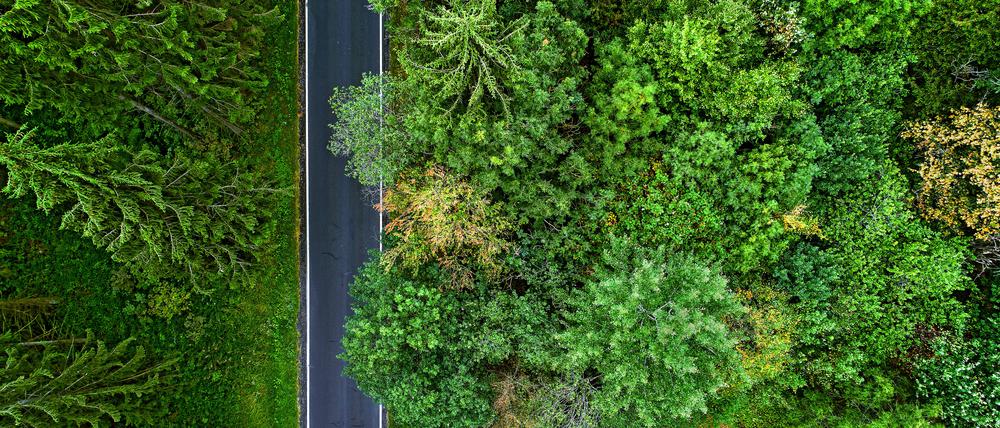Landstrasse verlaeuft durch einen Mischwald, 14.08.2018, Luftbild, Deutschland country road crossing mixed forest, 14.08.2018, aerial picture, Germany BLWS685960 *** Country road expires through a Mixed forest, 14 08 2018, Aerial view, Germany Country Road Crossing Mixed forest, 14 08 2018, Aerial picture, Germany BLWS685960 Copyright: xblickwinkel/S.xKoerberx