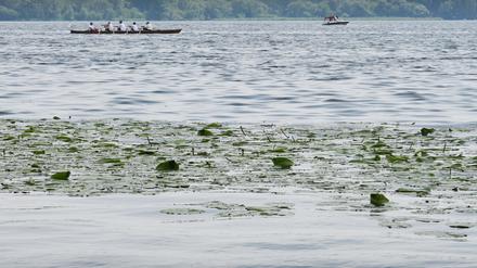 Das Gutshaus Neukladow mit schönen Badestellen direkt an der Havel in Berlin-Spandau, aufgenommen am 12. Juni 2019.

Foto: Kitty Kleist-Heinrich
