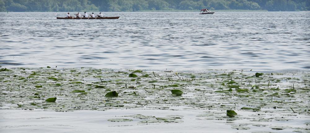 Das Gutshaus Neukladow mit schönen Badestellen direkt an der Havel in Berlin-Spandau, aufgenommen am 12. Juni 2019.
Foto: Kitty Kleist-Heinrich