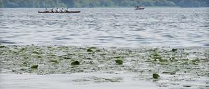 Das Gutshaus Neukladow mit schönen Badestellen direkt an der Havel in Berlin-Spandau, aufgenommen am 12. Juni 2019.

Foto: Kitty Kleist-Heinrich
