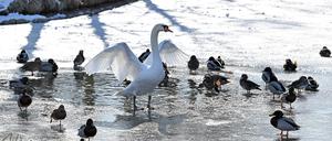 Am Mittwoch bleibt es kalt in der Region.