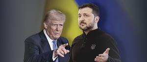 Harte Landung in der Realität: Donald Trump und Wolodymyr Selenskyj.