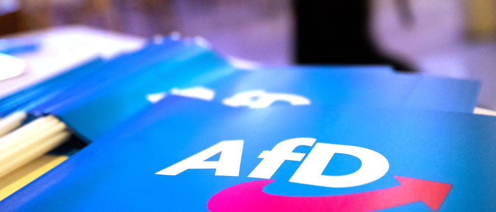 Wirbel um AfD-Großspende. (Symbolbild)