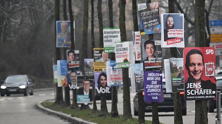 Wahlplakate für die Bundestagswahl 2025 hängen dicht hintereinander an Bäumen an einer Zufahrtsstraße zur Heilbonner Innenstadt.