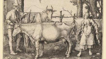 Die Milchmagd packt mit an: ein Kupferstich von Lucas Hugensz van Leyden aus dem Jahr 1510.
