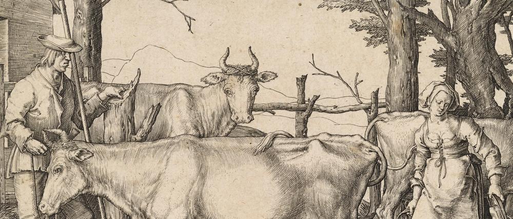 Die Milchmagd packt mit an: ein Kupferstich von Lucas Hugensz van Leyden aus dem Jahr 1510.