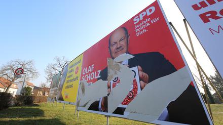 Zerstörte Wahlplakate in Geltow, Brandenburg.