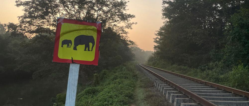 Ein Hinweisschild warnt vor wilden Elefanten. (Foto aktuell)
