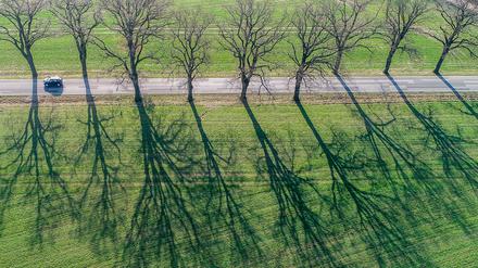 Nur zögerlich erwacht in diesem April die Natur.