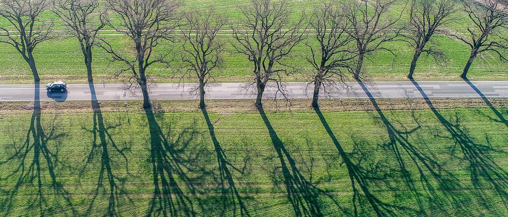 Nur zögerlich erwacht in diesem April die Natur.