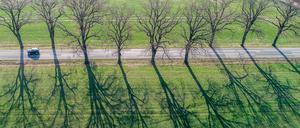Nur zögerlich erwacht in diesem April die Natur.