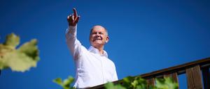 Bundeskanzler Olaf Scholz (SPD) setzt seine Sommerreise als Potsdamer Bundestagsabgeordneter in Brandenburg fort und besucht die Weintiene, eine Straußwirtschaft, in der Wein ausgeschenkt wird, auf dem Werderander Wachtelberg.
