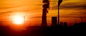 Klimaschutz wollen Grüne und Union – nur der Weg ist umstritten.