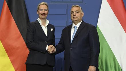 Alice Weidel, die Kanzlerkandidatin der Partei Alternative für Deutschland (AfD), und der ungarische Ministerpräsident Viktor Orbán schütteln sich während einer Pressekonferenz nach ihrem Treffen im Regierungssitz in Budapest die Hände.