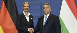 Alice Weidel, die Kanzlerkandidatin der Partei Alternative für Deutschland (AfD), und der ungarische Ministerpräsident Viktor Orbán schütteln sich während einer Pressekonferenz nach ihrem Treffen im Regierungssitz in Budapest die Hände.