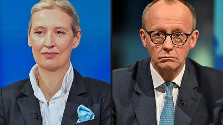 Kanzler Friedrich Merz und AfD-Chefin Alice Weidel. 