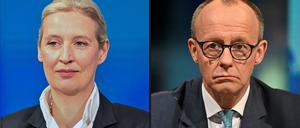 Kanzler Friedrich Merz (CDU) und AfD-Chefin Alice Weidel.