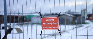 Nach dem Ausbruch in einer Büffelherde gelten bis April Schutzvorkehrungen innerhalb einer von der EU-Kommission festgelegten Zone. (Archivbild)