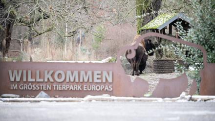 Am 11. Januar wurde der Tierpark für knapp drei Wochen geschlossen (Archivbild).