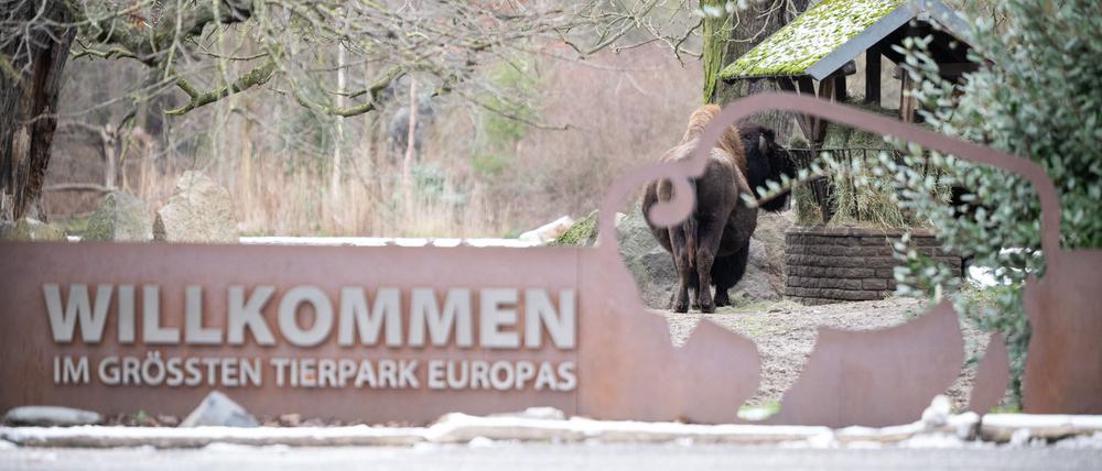 Am 11. Januar wurde der Tierpark für knapp drei Wochen geschlossen (Archivbild).