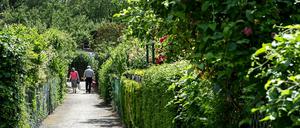 Beim Pächterwechsel werden mitunter sehr hohe Ablösesummen verlangt. (Symbolbild)