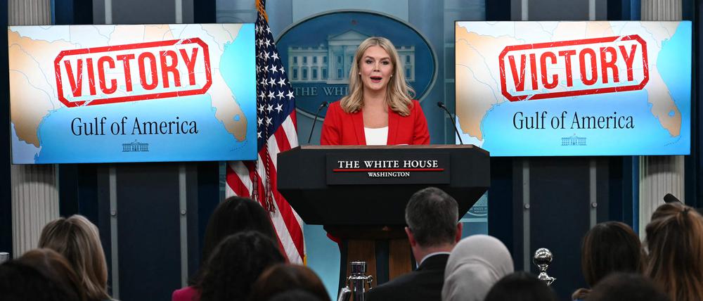 Donald Trumps Sprecherin Karoline Leavitt am Dienstag im Briefing Room des Weißen Hauses.