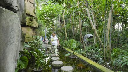 Das Große Tropenhaus im Botanischen Garten in Lichterfelde.