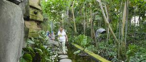 Das Große Tropenhaus im Botanischen Garten in Lichterfelde.