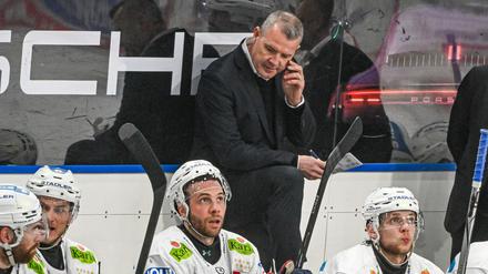 Die Eisbären Berlin müssen beim DEL-Spitzenreiter Ingolstadt eine Niederlage hinnehmen. 