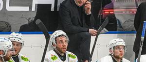 Die Eisbären Berlin müssen beim DEL-Spitzenreiter Ingolstadt eine Niederlage hinnehmen.