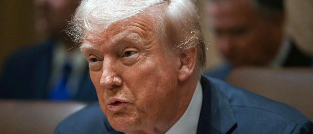 Trump hat während seiner ersten Kabinettssitzung nach seiner Wiederwahl über etliche Themen gesprochen - auch Zölle.