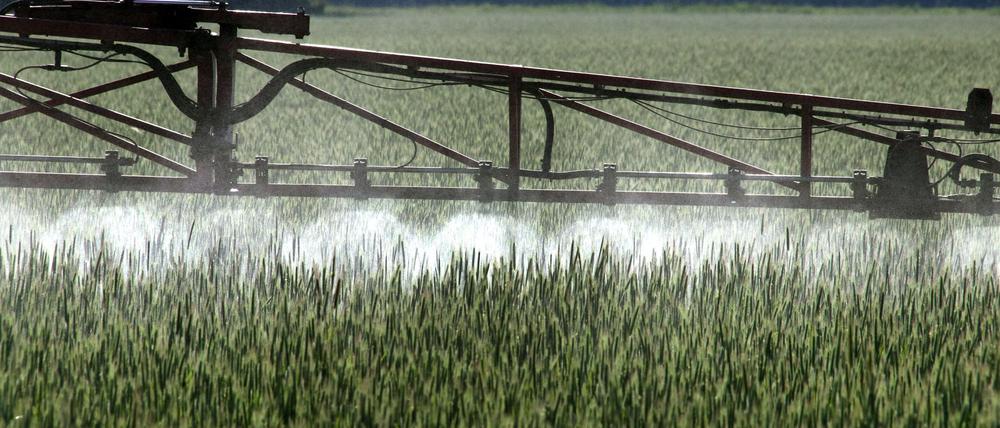 Ein Landwirt versprüht mit einem Spezialgerät Pflanzenschutzmittel über ein Roggenfeld - möglicherweise hat auch er in der Vergangenheit zu viel Geld bezahlt.