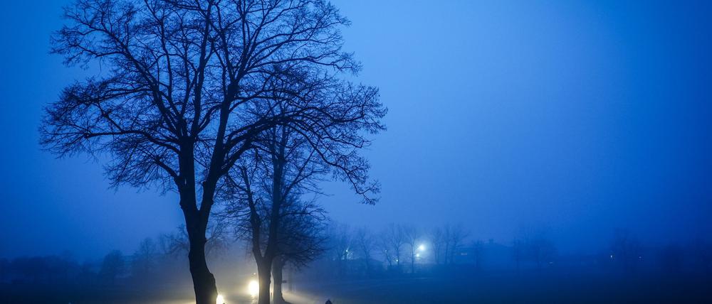 Die Wetteraussichten für Berlin und Brandenburg: bewölkt und neblig. (Archivbild)