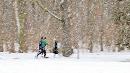 Schnee von gestern. Eine Woche lang war es in Berlin winterlich.