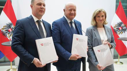 Die neue Dreier-Koalition in Österreich hat ein 200-seitiges Arbeitsprogramm vorgelegt.