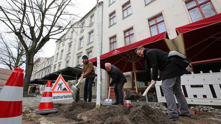Baumpflanzung in der Dortustraße Potsdam. 