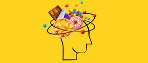 Experiment Ernährung Gehirn NEU