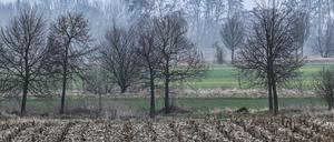 Brandenburg und Berlin erwartet bewölktes aber trockenes Wetter. (Archivbild)