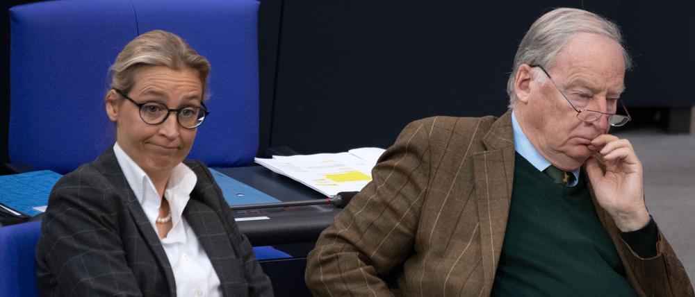 Alice Weidel (AfD), Fraktionsvorsitzende, sitzt neben Alexander Gauland (AfD), Fraktionsvorsitzender, während der 95. Sitzung des Bundestags im Plenum.