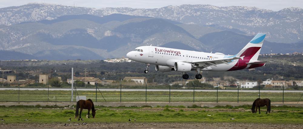 Ein Flugzeug von Eurowings landet am Flughafen von Palma de Mallorca (Symbolbild).