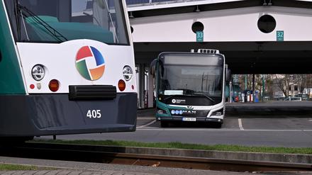 Im Vordergrund eine Tram der Potsdamer Verkehrsbetriebe, dahinter einen Linienbus des ViP.